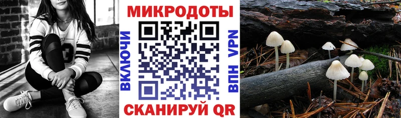 наркотики Сальск Псилоцибиновые грибы MAGIC MUSHROOMS